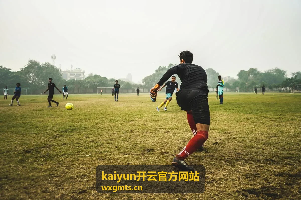 kaiyun开云官方网站账号注册流程示意