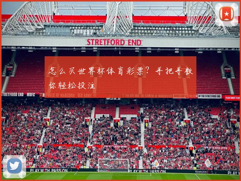 怎么买世界杯体育彩票？手把手教你轻松投注