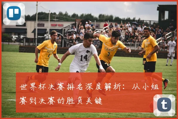 世界杯决赛排名深度解析:从小组赛到决赛的胜负关键