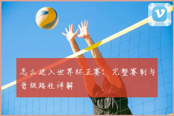 怎么进入世界杯正赛：完整赛制与晋级路径详解