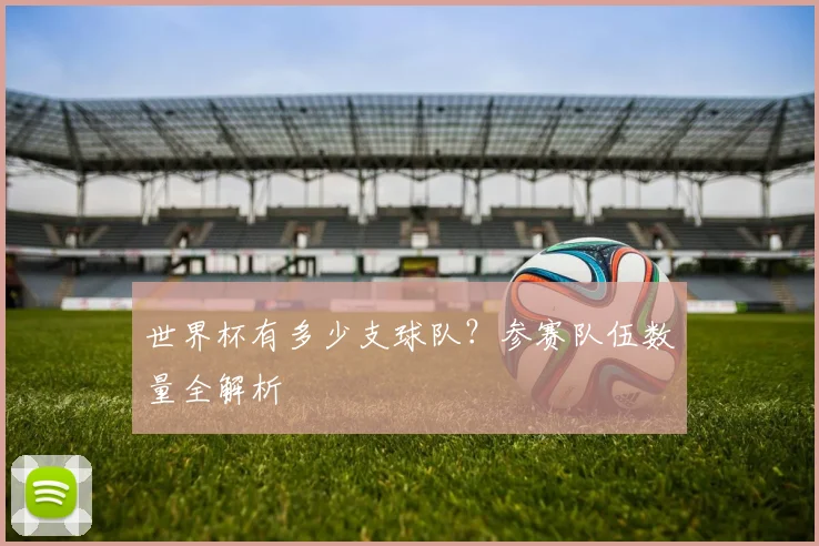 世界杯有多少支球队？参赛队伍数量全解析
