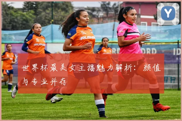 世界杯最美女主播魅力解析：颜值与专业并存