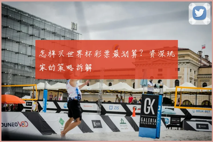 怎样买世界杯彩票最划算？资深玩家的策略拆解
