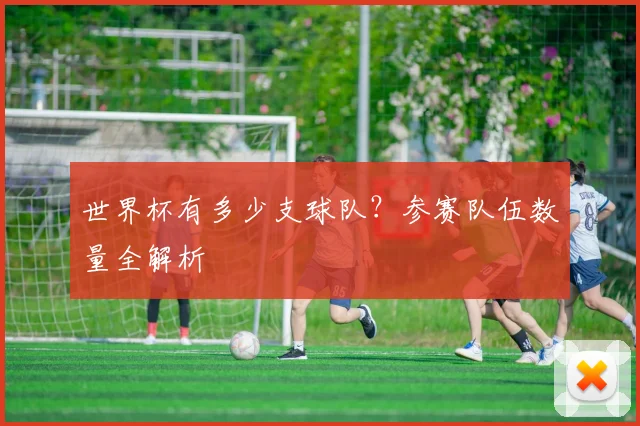 世界杯有多少支球队？参赛队伍数量全解析